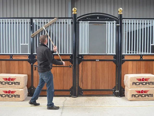 Stable hand feeding a horse
