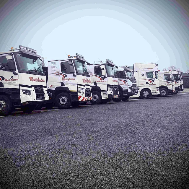 Fleet of lorries
