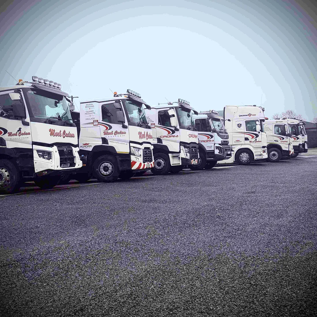 Large Fleet of Lorries
