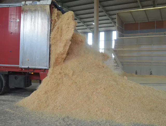 Wood shavings being dumped out of a lorry