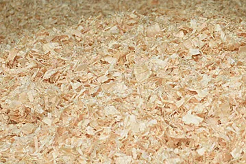 Wood shavings close-up