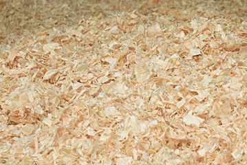 Wood shavings close-up
